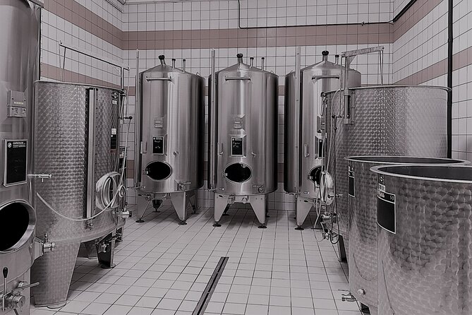 Champagne Munoz Bruneau : Half Day Visit and Tasting - Hautvillers and the first view of Champagne country