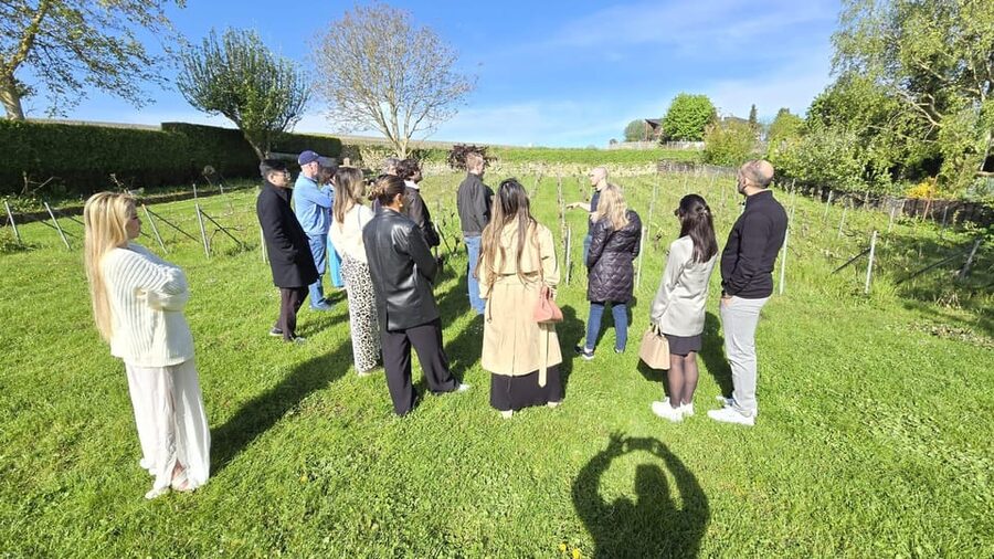 Champagne Vineyard Experience: Delve into the terroir - Why the family setting matters