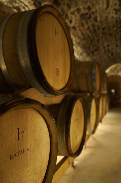 Champagne Vineyard Experience: Delve into the terroir - Practical tips for a smoother visit