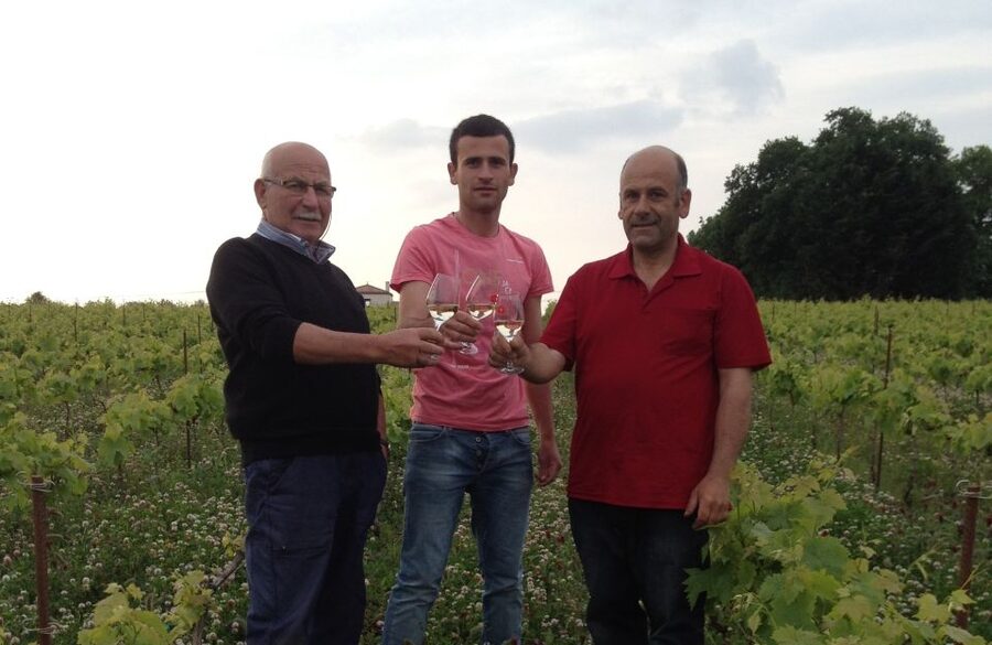 Château du Bois-Huaut: Cellar Tour and Wine Tasting Class - Beginning with a walk through the vineyard