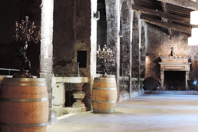 Chateau du Taillan and Park including Wine Tasting Tour - The underground cellars are the main event