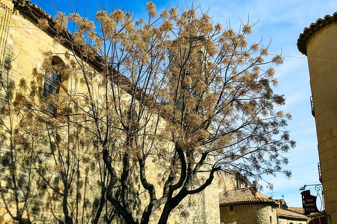 Châteauneuf Du Pape intensive vineyard & fine wine experience - Château de la Gardine: the third perspective