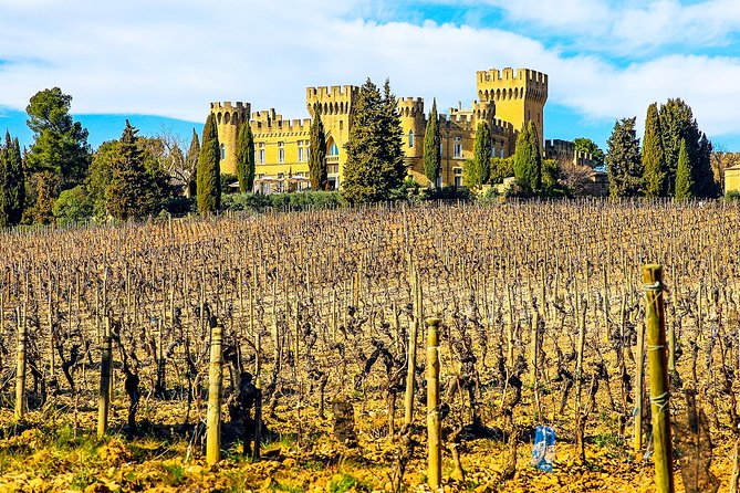 Châteauneuf Du Pape intensive vineyard & fine wine experience - The guides make the difference