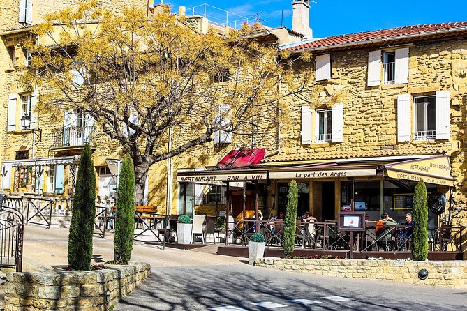 Châteauneuf Du Pape intensive vineyard & fine wine experience - Lunch is not included, but planning help is