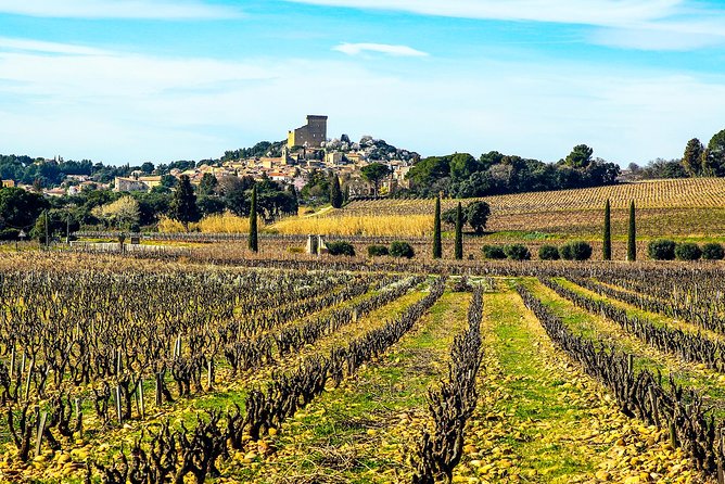 Châteauneuf Du Pape intensive vineyard & fine wine experience - Château La Nerthe: a second style to compare