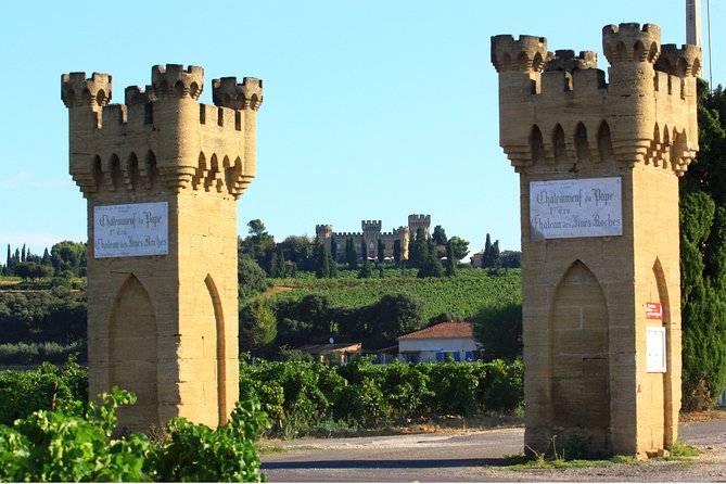Châteauneuf du Pape Wine Day Tasting Tour including Lunch from Avignon - Châteauneuf-du-Pape, pebbly soil, and big red wines