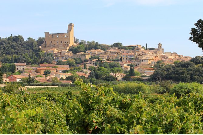 Châteauneuf du Pape Wine Day Tasting Tour including Lunch from Avignon - Séguret, Gigondas, or Vacqueyras depending on the day