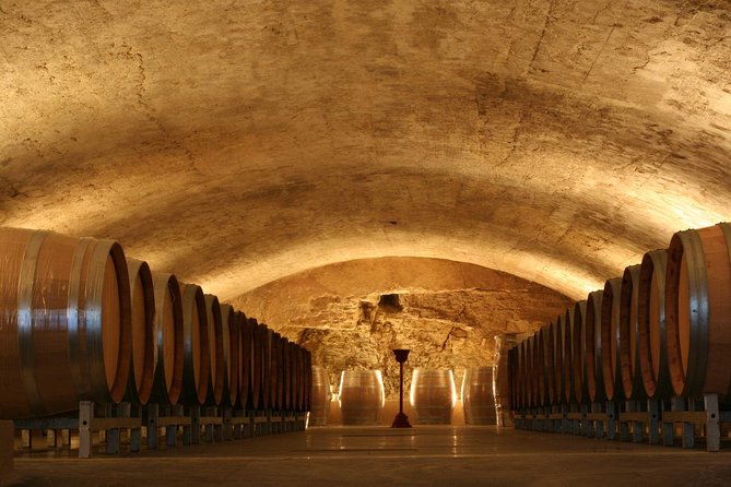 Châteauneuf du Pape Wine Day Tasting Tour including Lunch from Avignon - Physical comfort, timing, and practical limits