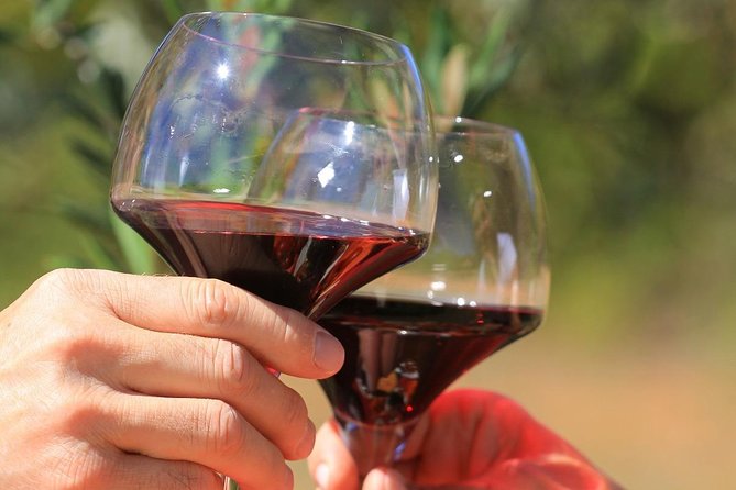 Châteauneuf du Pape Wine Day Tasting Tour including Lunch from Avignon - The first tasting: getting beyond the famous name