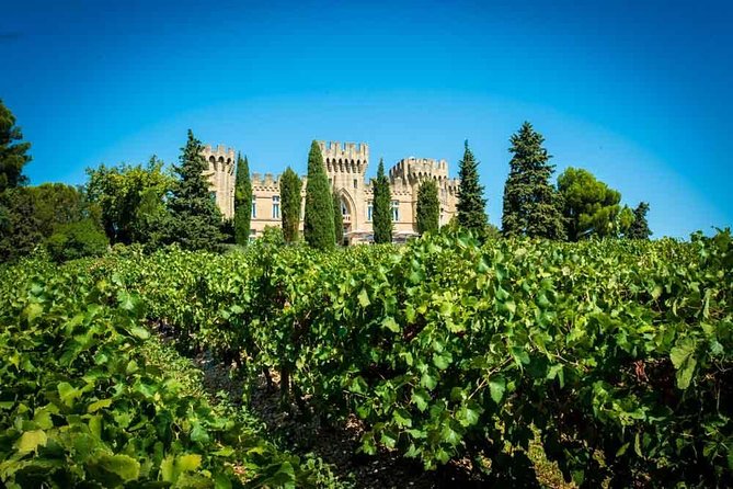 Chateauneuf du Pape wine tour - Starting with the vineyard and Châteauneuf terroir