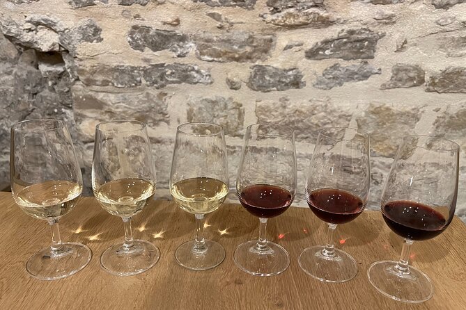 Cheese and Wine Pairing 1-Hour Session in Dijon - What you learn about Burgundy wine