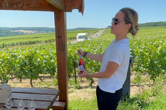 Cheese and Wine Pairing 1-Hour Session in Dijon - The cheese pairing is the real teaching tool