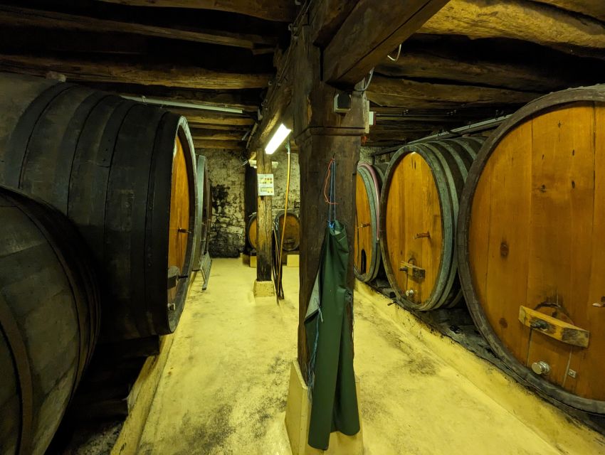 Colmar: Highlights Walking Tour and Wine Tasting - Colmar’s half-timbered streets and layered past