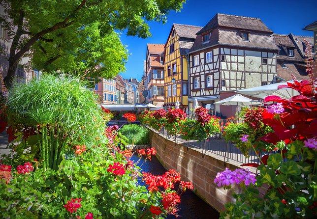 Colmar, Medieval Village & Castle Small Group from Strasbourg - Riquewihr: medieval walls and time for lunch