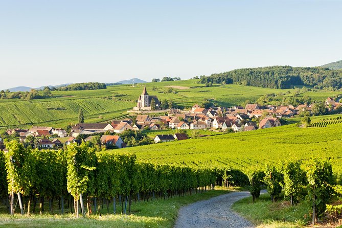 Colmar, Medieval Village & Castle Small Group from Strasbourg - Practical details that can change your day