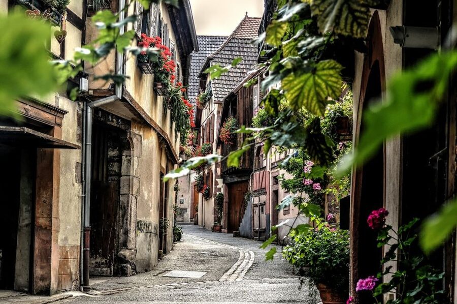 Colmar: Private Guided Walking Tour of the City Center - The Tanneurs district and its white façades