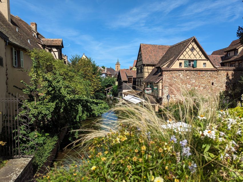 Colmar: Unusual Walking Tour with a local guide - Key points