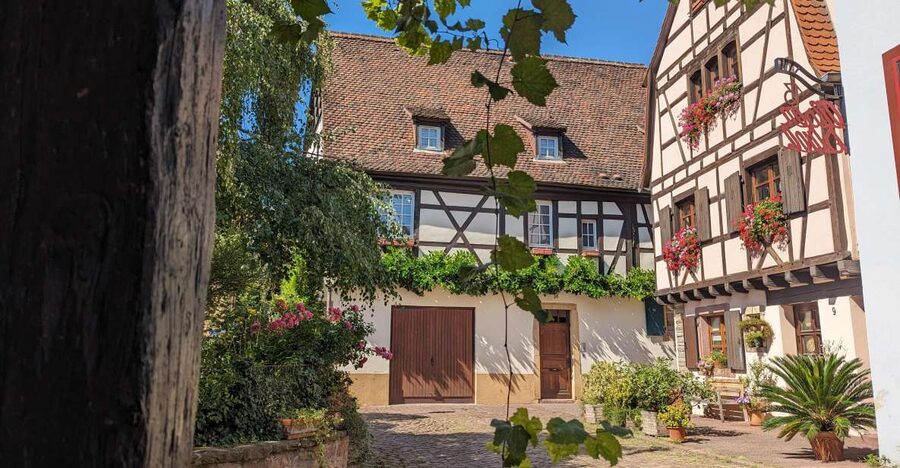 Colmar: Unusual Walking Tour with a local guide - Why this Colmar walk is more useful than a postcard stroll