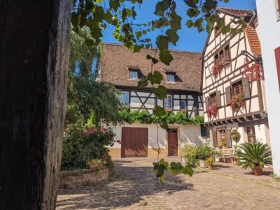 Unusual Walking Tour with a local guide