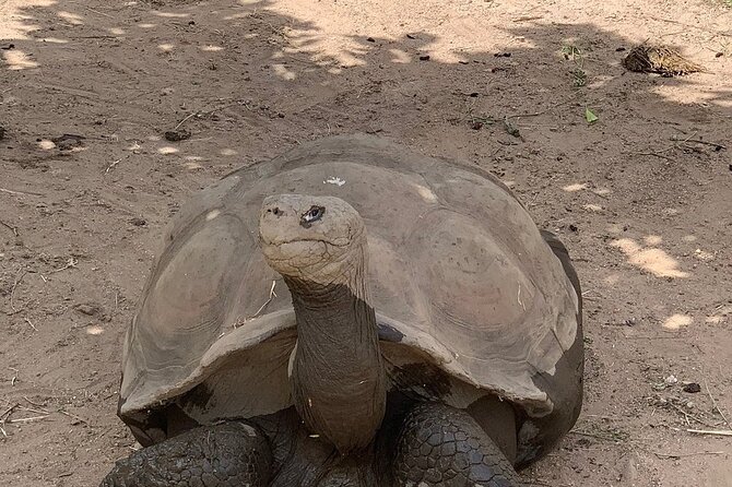 Corsica A Cupulatta Turtle Park Skip the Line Admission Ticket - Who will enjoy this park most?