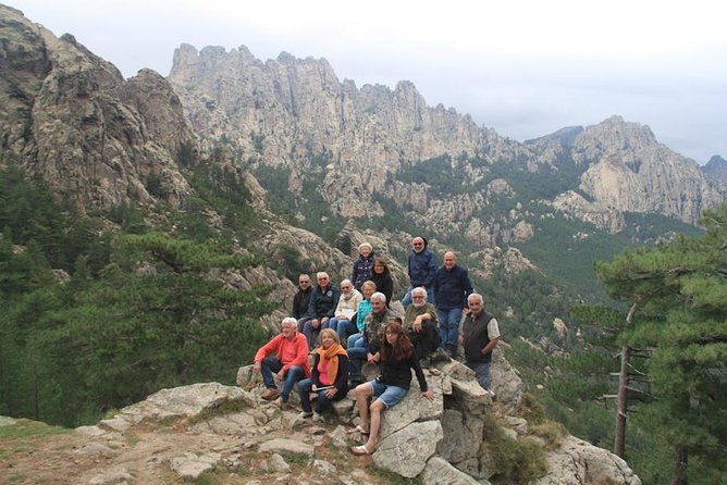 Corsica Extreme Sud Day 4X4 Excursions from Porto-Vecchio - Corsican plants and the value of a local guide