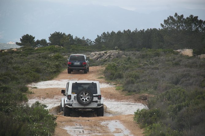 Corsica Extreme Sud Day 4X4 Excursions from Porto-Vecchio - What the group size and vehicle mean for your day