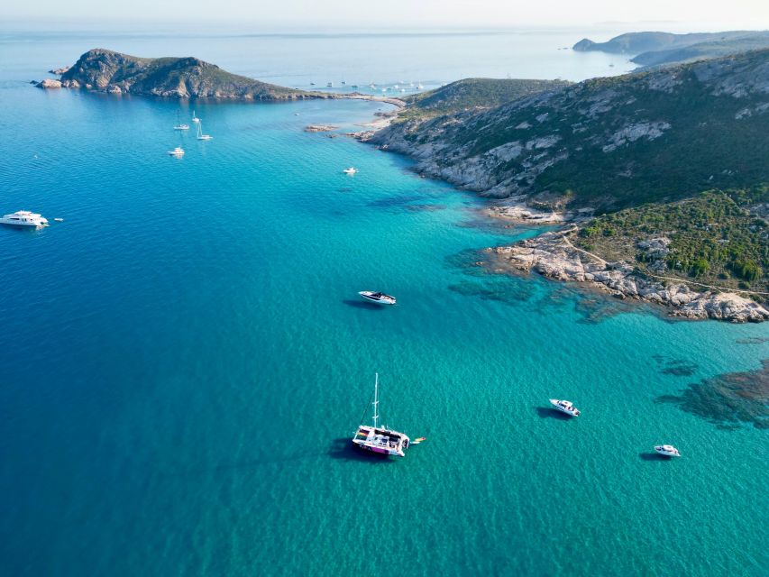 Côte d'Azur: Half-Day Coastline Catamaran Sailing Tour - Practical planning before you go