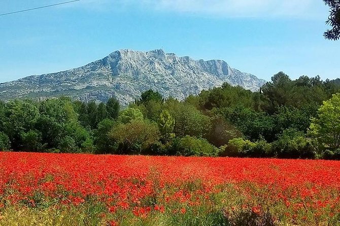 Cotes de Provence Wine Tour from Aix-en-Provence - Why this short Aix wine tour works