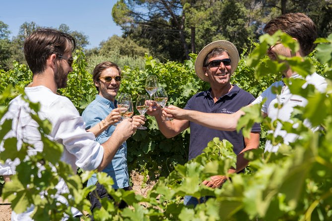 Cotes de Provence Wine Tour from Aix-en-Provence - What the guides add to the day