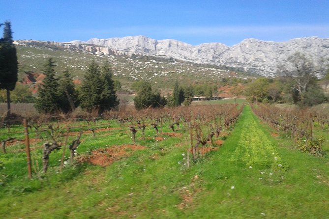 Cotes de Provence Wine Tour from Aix-en-Provence - First tasting at Mas de Cadenet