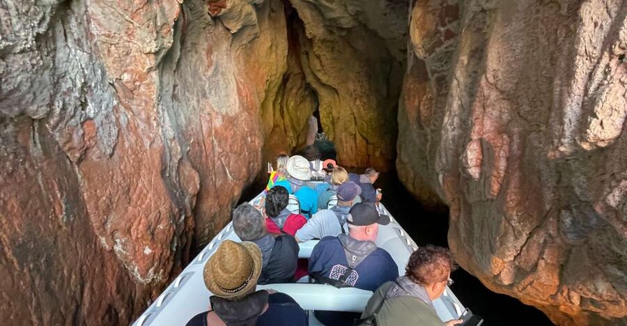 Croisière Calanques de Piana - Baignade bateau 12 places - Who should book this boat trip?
