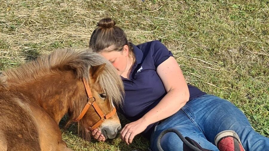 Cruseilles: Horseback Riding in the Countryside - Key points at a glance