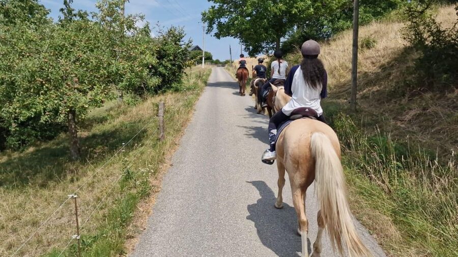 Cruseilles: Horseback Riding in the Countryside - Riding through Savoy from the Ecurie des Goths