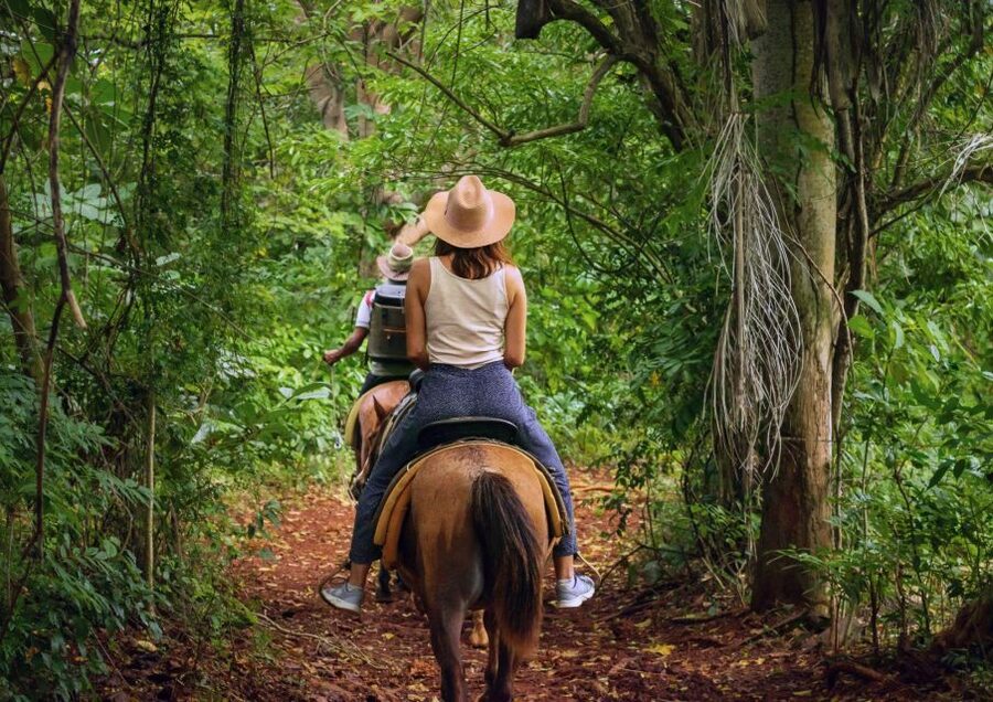 Cruseilles: Horseback Riding in the Countryside - A gentle start, with room for a little speed