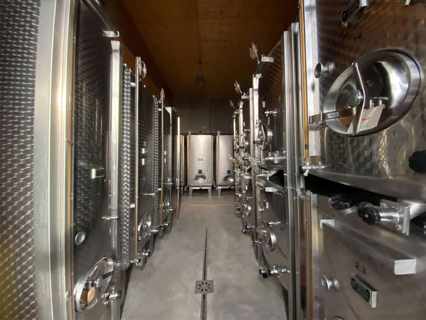Dare to Alsace Wine with a Feminine Touch - Walking the vineyard with Muriel
