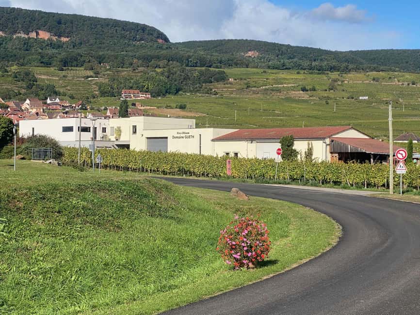 Dare to Alsace Wine with a Feminine Touch - Language, access, and planning the visit