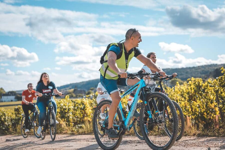 Dijon: Bike tour and Tastings in the Vineyards of Burgundy - Fixin and Brochon by bicycle