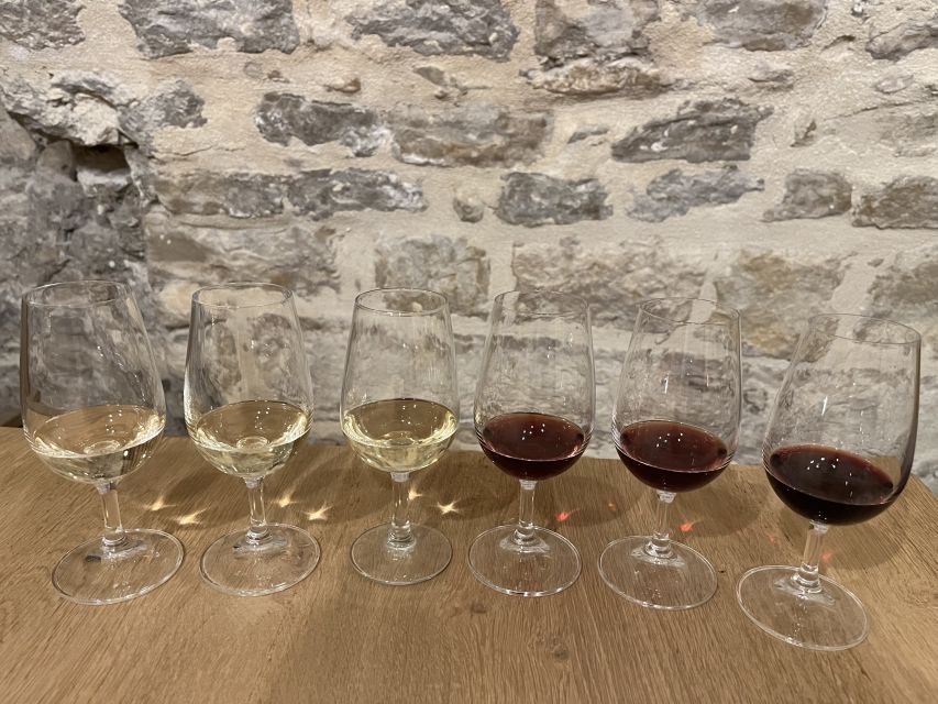 Dijon: Cheese and Burgundy Wine Tasting Workshop - A fast introduction to Burgundy through cheese