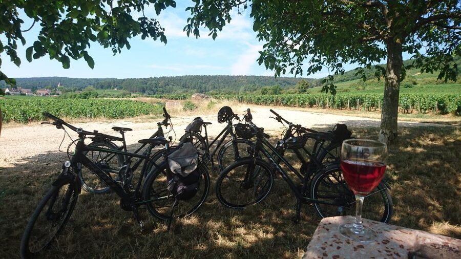 Dijon: Half-Day Guided Gourmet Bike Tour - Riding into Burgundy’s vineyard country