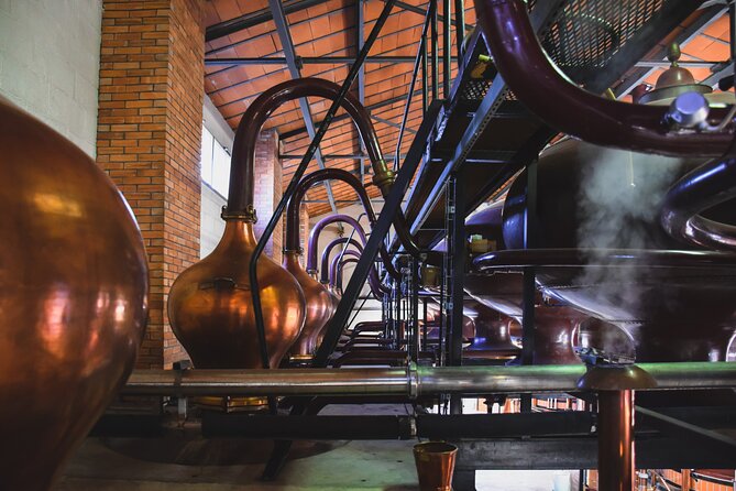 Discover Braastad Cognac - From vine and wine to copper stills