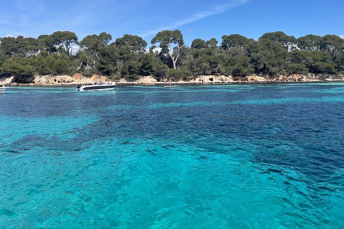 Discover the Lérins Islands and the Bay of Cannes by Private Boat - Saint-Honorat and the island atmosphere