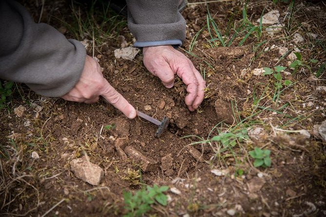 Discovery of the world of Truffles and tasting - Key points to know before booking