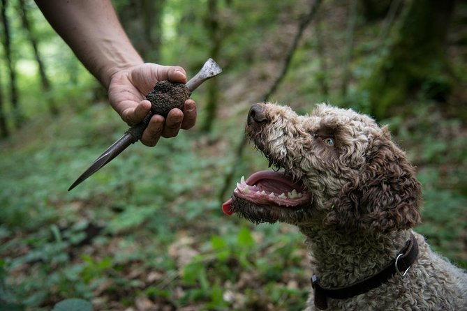Discovery of the world of Truffles and tasting - What happens at Maison aux Mille Truffes