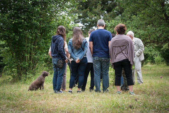 Discovery of the world of Truffles and tasting - Getting there from Beaune