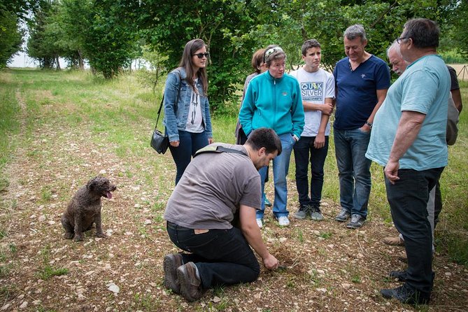 Discovery of the world of Truffles and tasting - Watching Taiga work