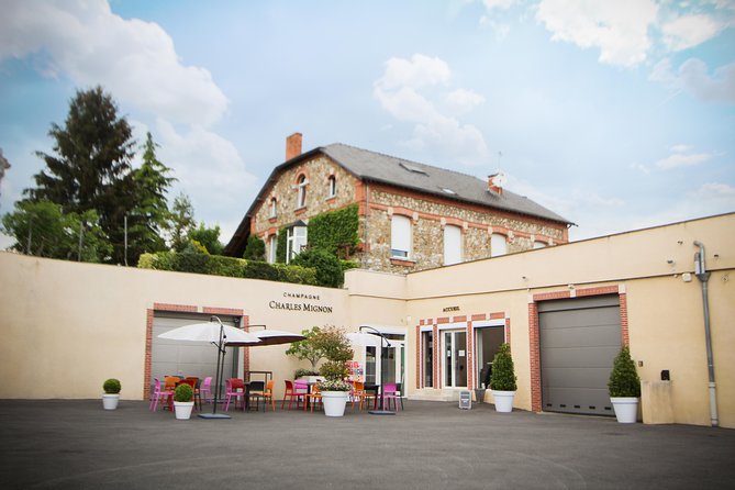 Discovery tour (2 tastings) - Following Champagne from soil to bottle
