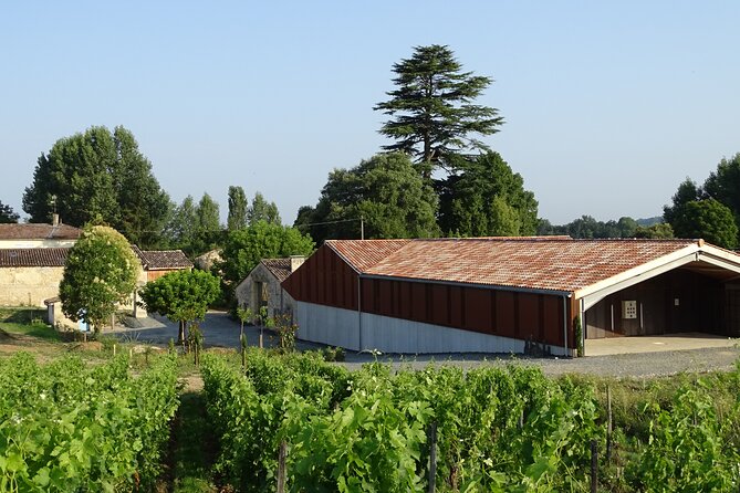 Discovery visit of Château Rol Valentin with tasting - A one-hour introduction to Saint-Émilion wine