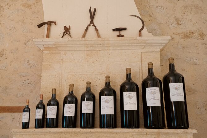 Discovery visit of Château Rol Valentin with tasting - Three wines from the estate