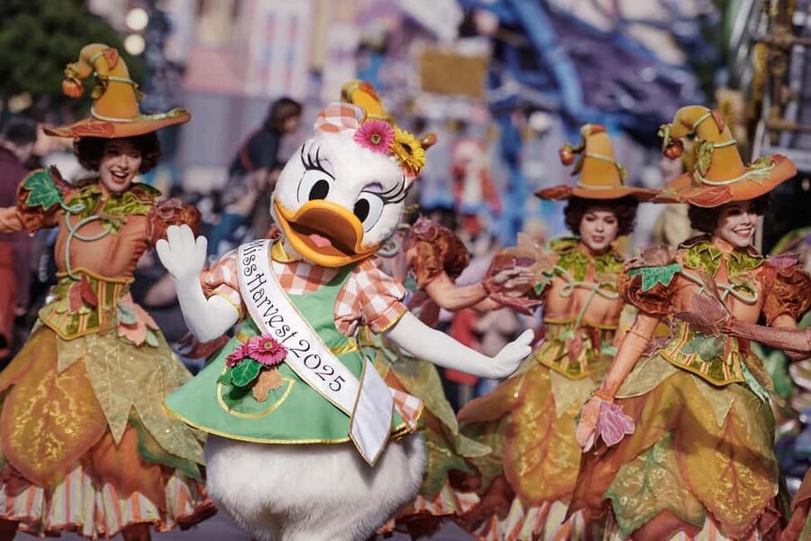 Disneyland® Paris Tickets and Shuttle Transport - Choosing between one park and two parks