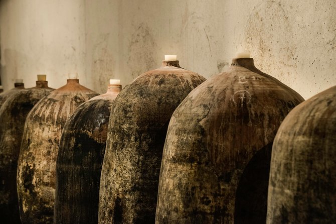 Domain visit - Amphora aging and a taste from the barrel